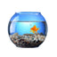 Desktop Glass Aquarium & Fish Bowl - For Bettas & Aquascaping 1