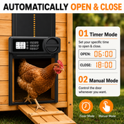 Automatic Chicken Coop Door — Timer & Anti-Pinch Sensor
