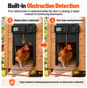 Automatic Chicken Coop Door — Timer & Obstruction Detection