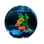 Desktop Glass Aquarium & Fish Bowl - For Bettas & Aquascaping 1