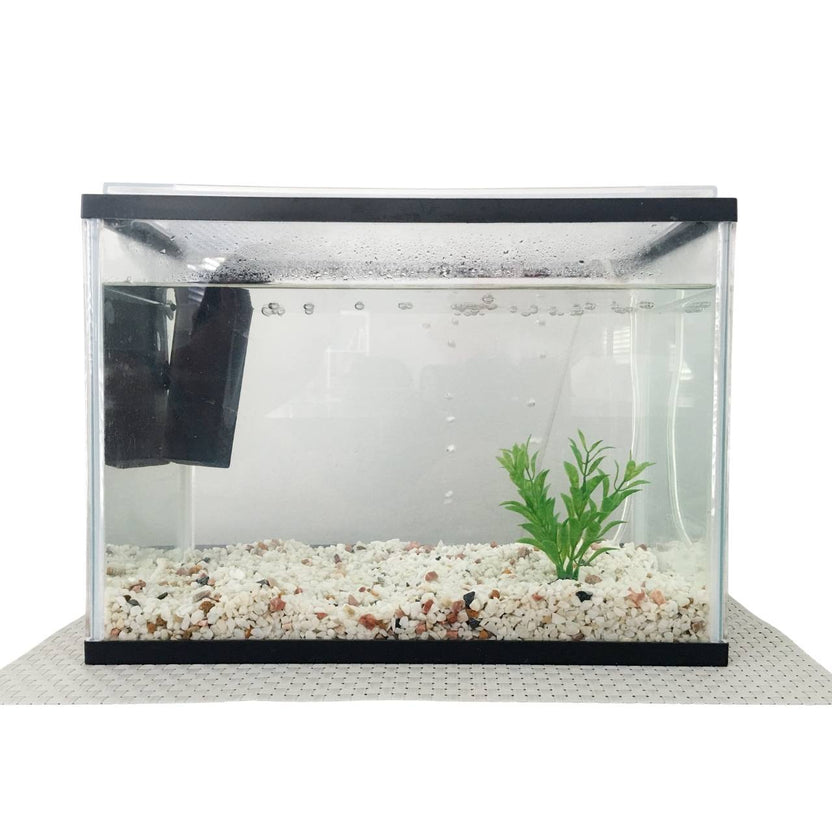 Desktop Glass Aquarium & Fish Bowl - For Bettas & Aquascaping 1