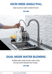 HomeSmart™ Pull-Out Kitchen Faucet — Matte Black Stainless Steel Mixer Tap