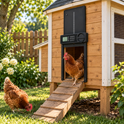 Automatic Chicken Coop Door — Timer & Obstruction Detection